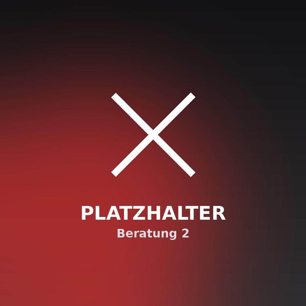 Platzhalter – Beratung 2
