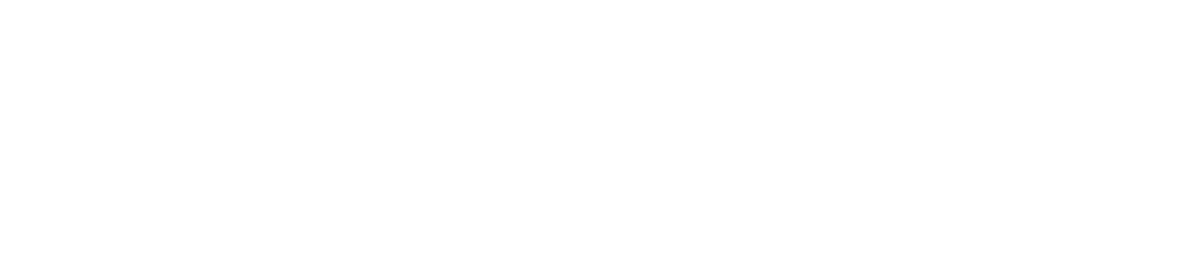 meyer group