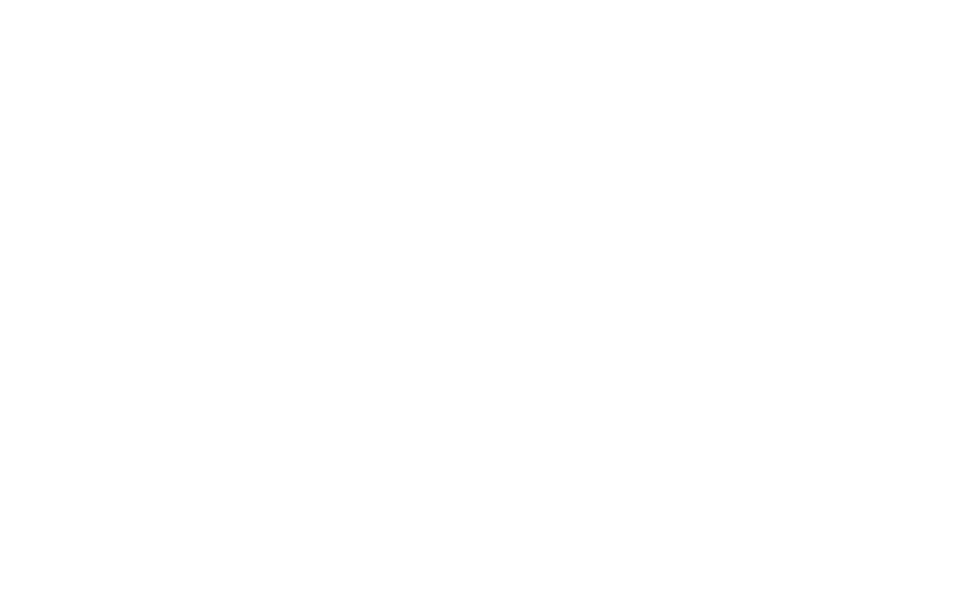 Saalesizzle